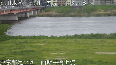 arani2026042108_image