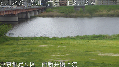 arani2026042109_image