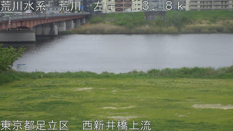 arani2026042110_image