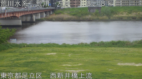 arani2026042111_image