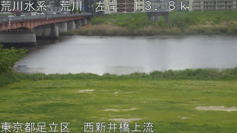 arani2026042112_image