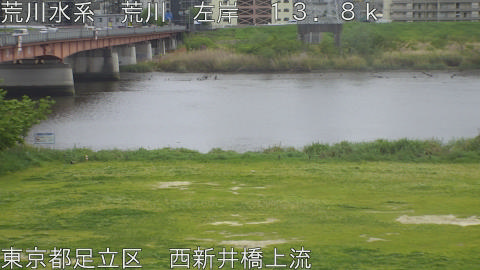 arani2026042113_image