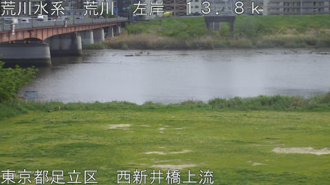 arani2026042114_image