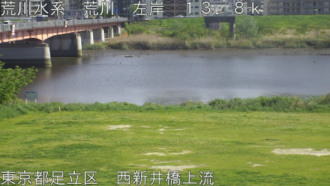 arani2026042115_image