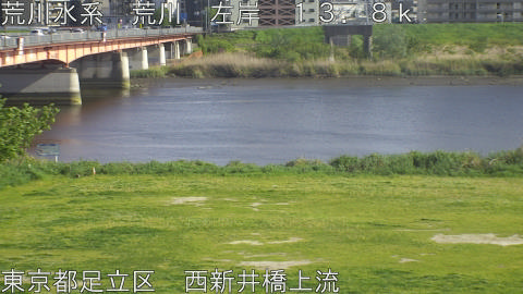 arani2026042116_image