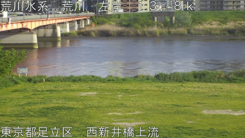 arani2026042117_image