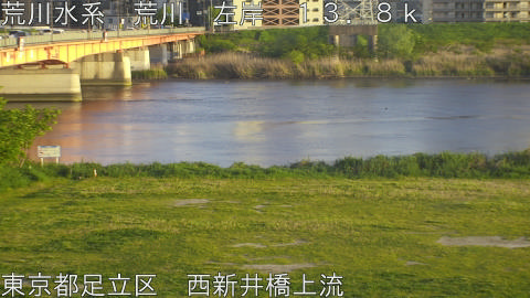 arani2026042118_image