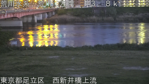 arani2026042119_image