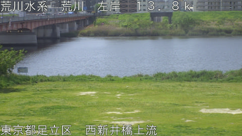 arani2026042210_image