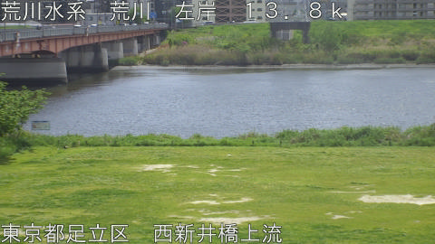 arani2026042212_image