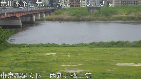 arani2026042213_image