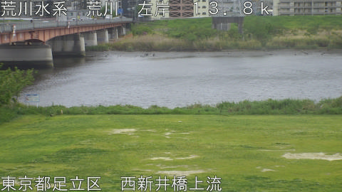 arani2026042214_image