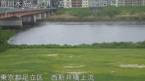 arani2026042215_image