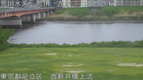 arani2026042217_image