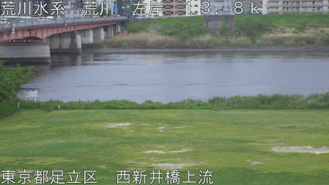 arani2026042218_image