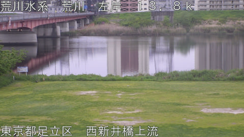 arani2026042306_image