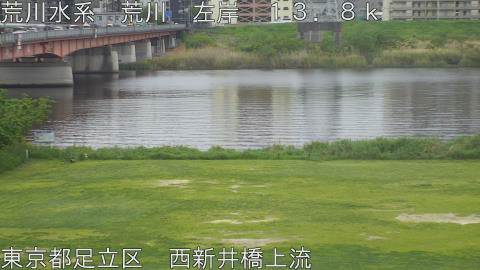 arani2026042308_image