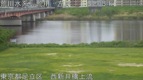 arani2026042309_image