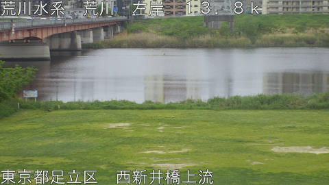 arani2026042310_image