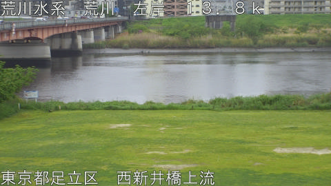 arani2026042314_image