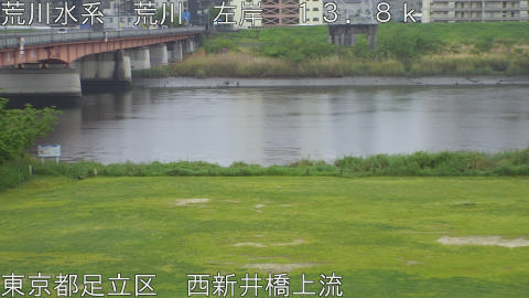 arani2026042315_image