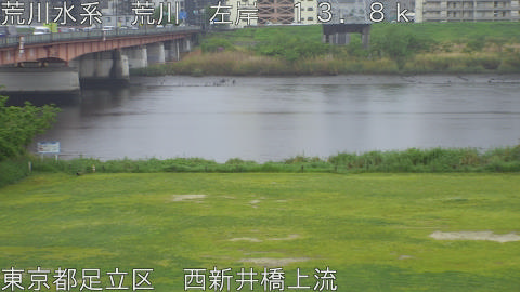 arani2026042316_image