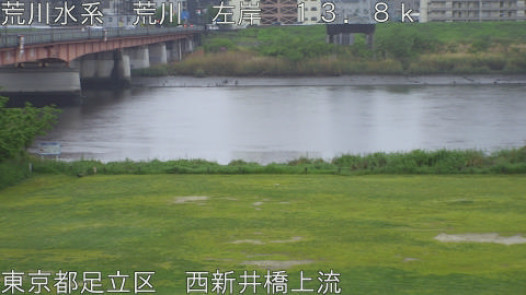 arani2026042317_image