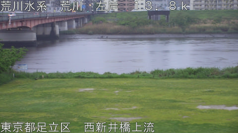 arani2026042318_image