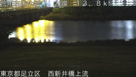 arani2026042404_image