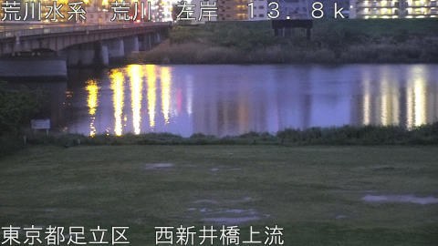 arani2026042405_image