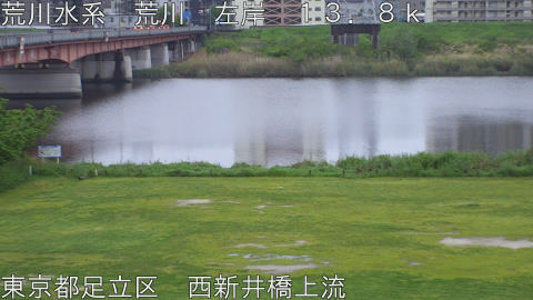 arani2026042406_image