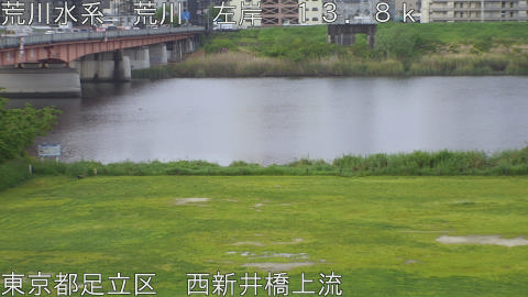 arani2026042407_image