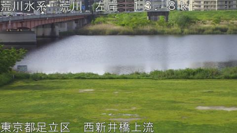 arani2026042408_image