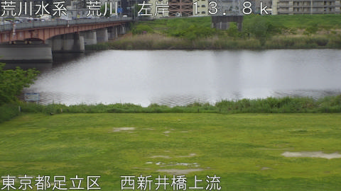 arani2026042409_image