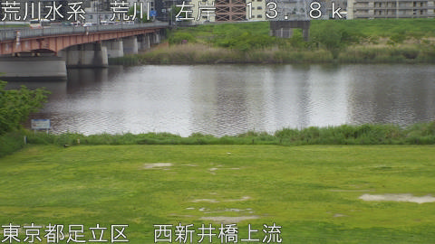 arani2026042410_image