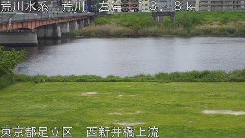 arani2026042412_image