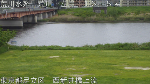 arani2026042413_image