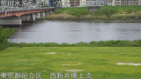 arani2026042414_image