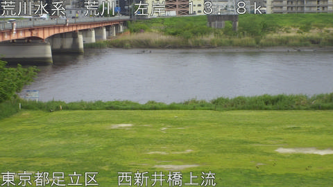 arani2026042416_image