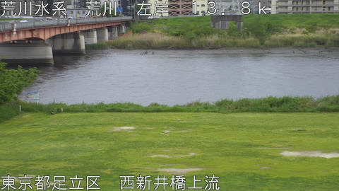 arani2026042417_image