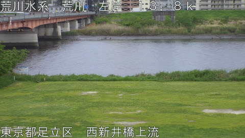 arani2026042418_image