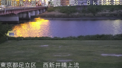 arani2026042419_image