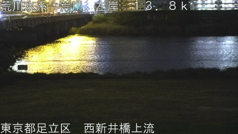 arani2026042421_image