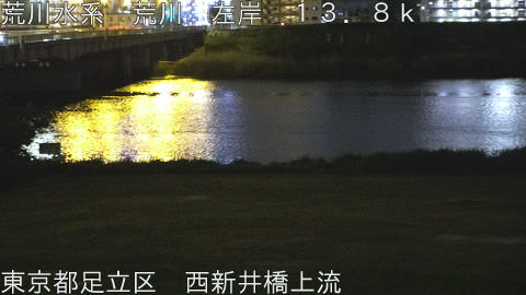 arani2026042422_image