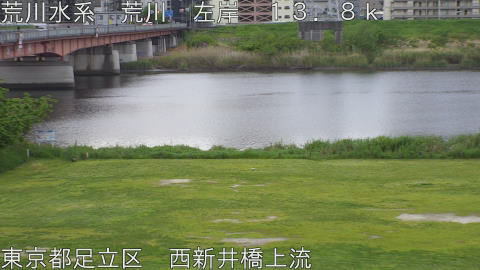 arani2026042506_image