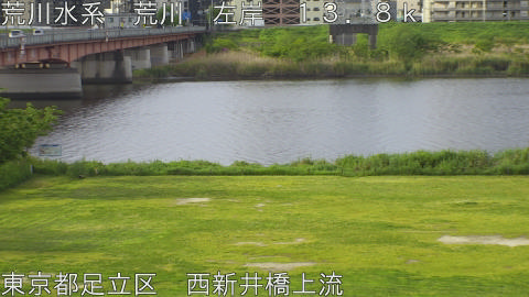 arani2026042507_image