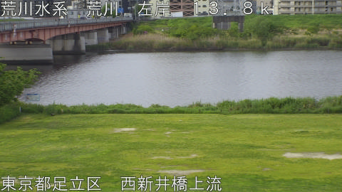 arani2026042508_image