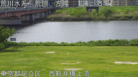 arani2026042509_image