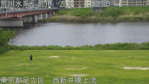 arani2026042510_image