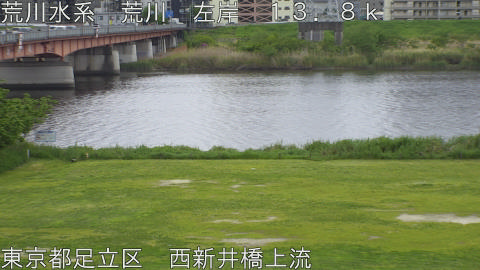 arani2026042511_image